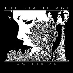 Cover art for Amphibian by The Static Age